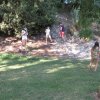 img_0425